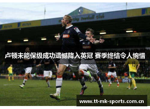 卢顿未能保级成功遗憾降入英冠 赛季终结令人惋惜 卢顿未能保级成功遗憾降入英冠 赛季终结令人惋惜